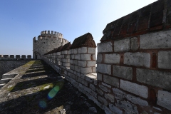 FBB_0190